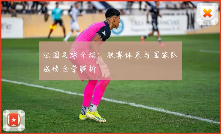 法国足球介绍：联赛体系与国家队成绩全景解析