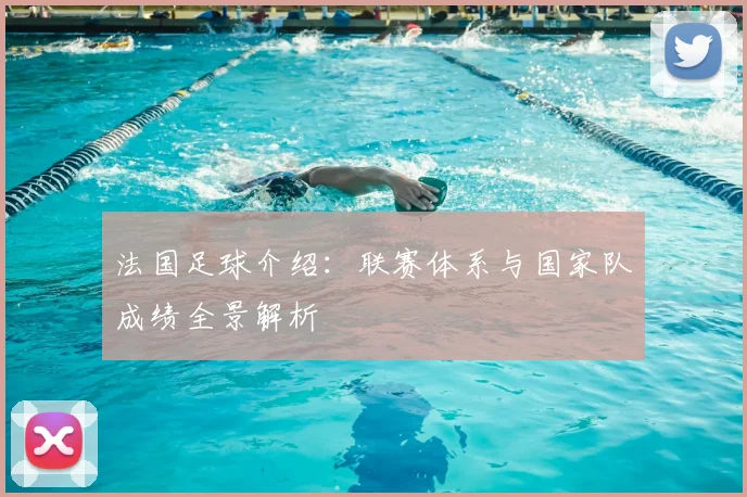法国足球介绍:联赛体系与国家队成绩全景解析