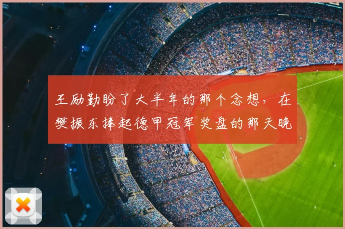 王励勤盼了大半年的那个念想,在樊振东捧起德甲冠军奖盘的那天晚上,又碎了_中国乒协_萨尔布吕肯_欧冠决赛