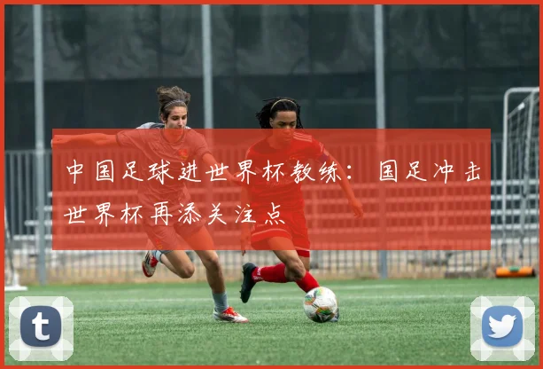 中国足球进世界杯教练:国足冲击世界杯再添关注点